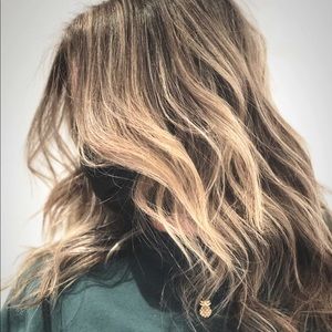 Meet your Posher, Dinel